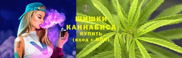 apvp Осташков