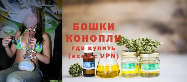 мдпв Коряжма