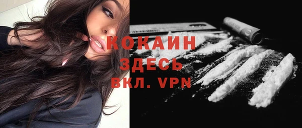 спиды Ладушкин