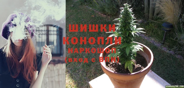 PSILOCYBIN Сафоново