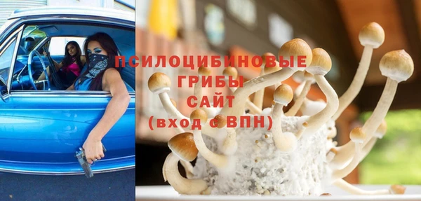 спиды Ладушкин