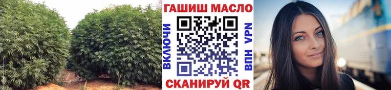 блэк спрут tor магазин наркотиков Терек Дистиллят ТГК вейп